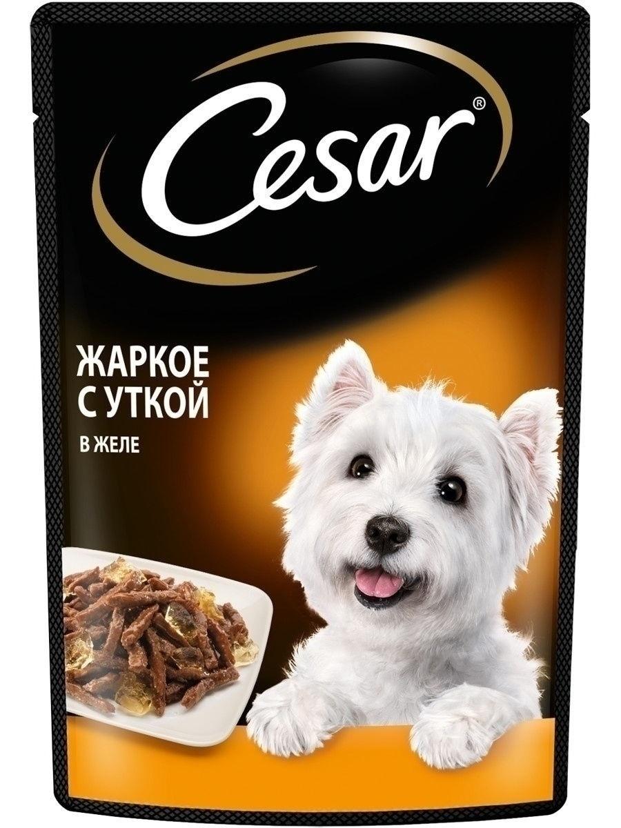 Корм Цезарь для собак в желе  пауч  85г - интернет-магазин Близнецы