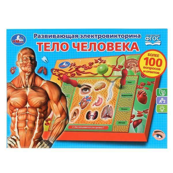 Игрушка Развив Двусторонний Плакат Тело Человека - интернет-магазин Близнецы